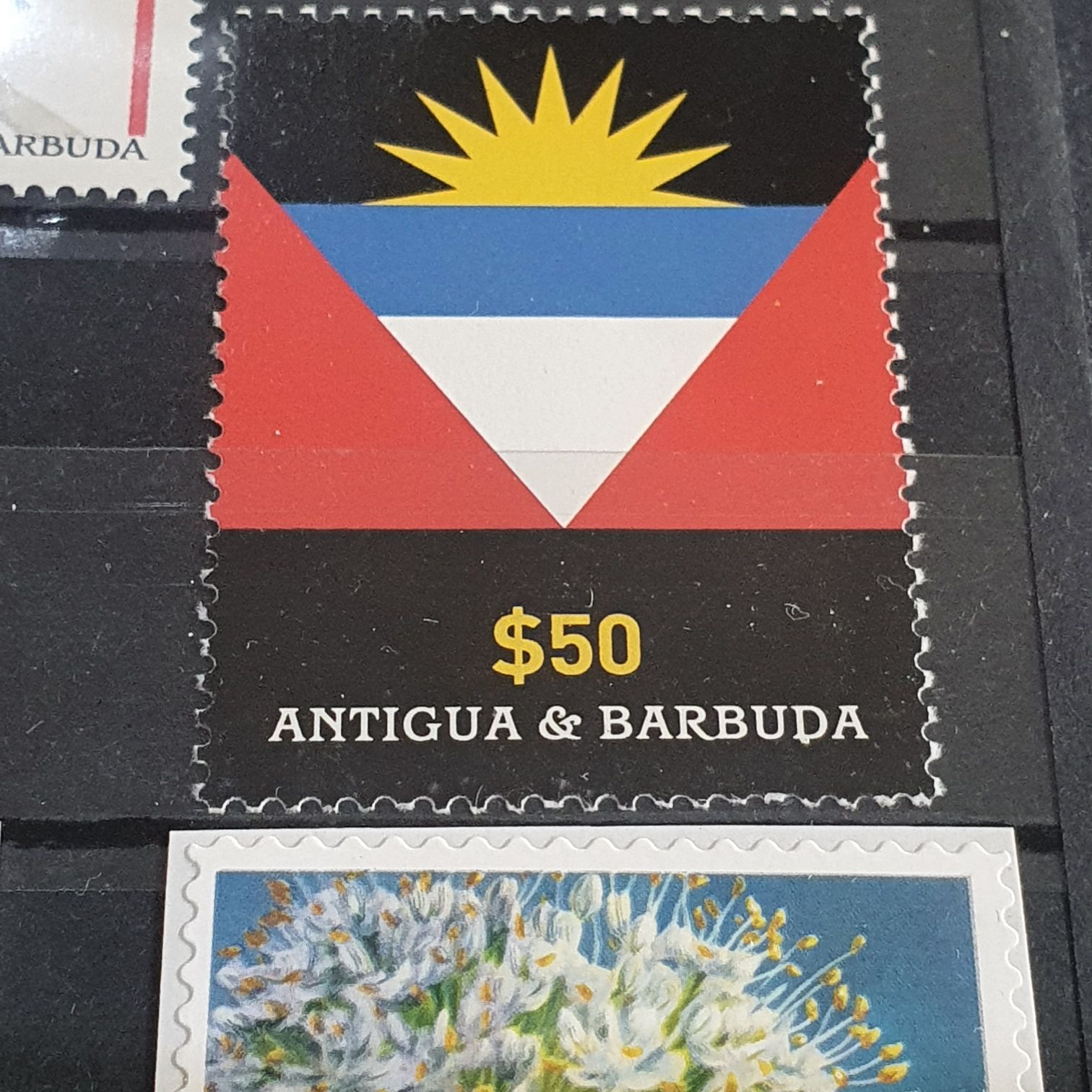 Fiesta De La Candelaria