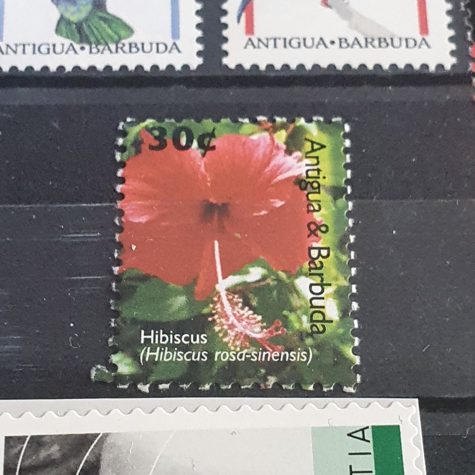 Hibiscus  stamp collectible - Main Image 2