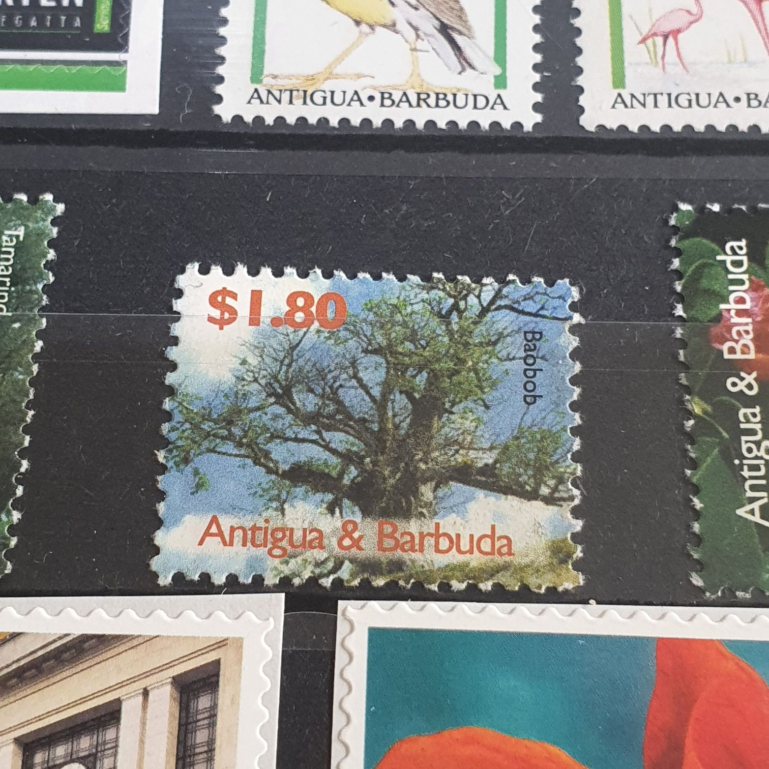 Baobob  stamp collectible - Main Image 2