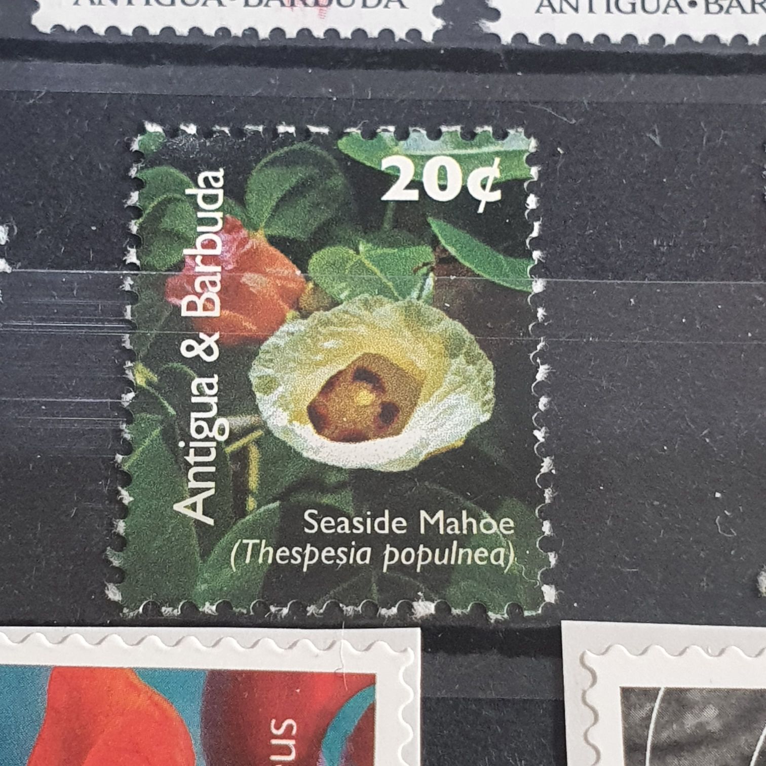 George Washington Bi- Centennial