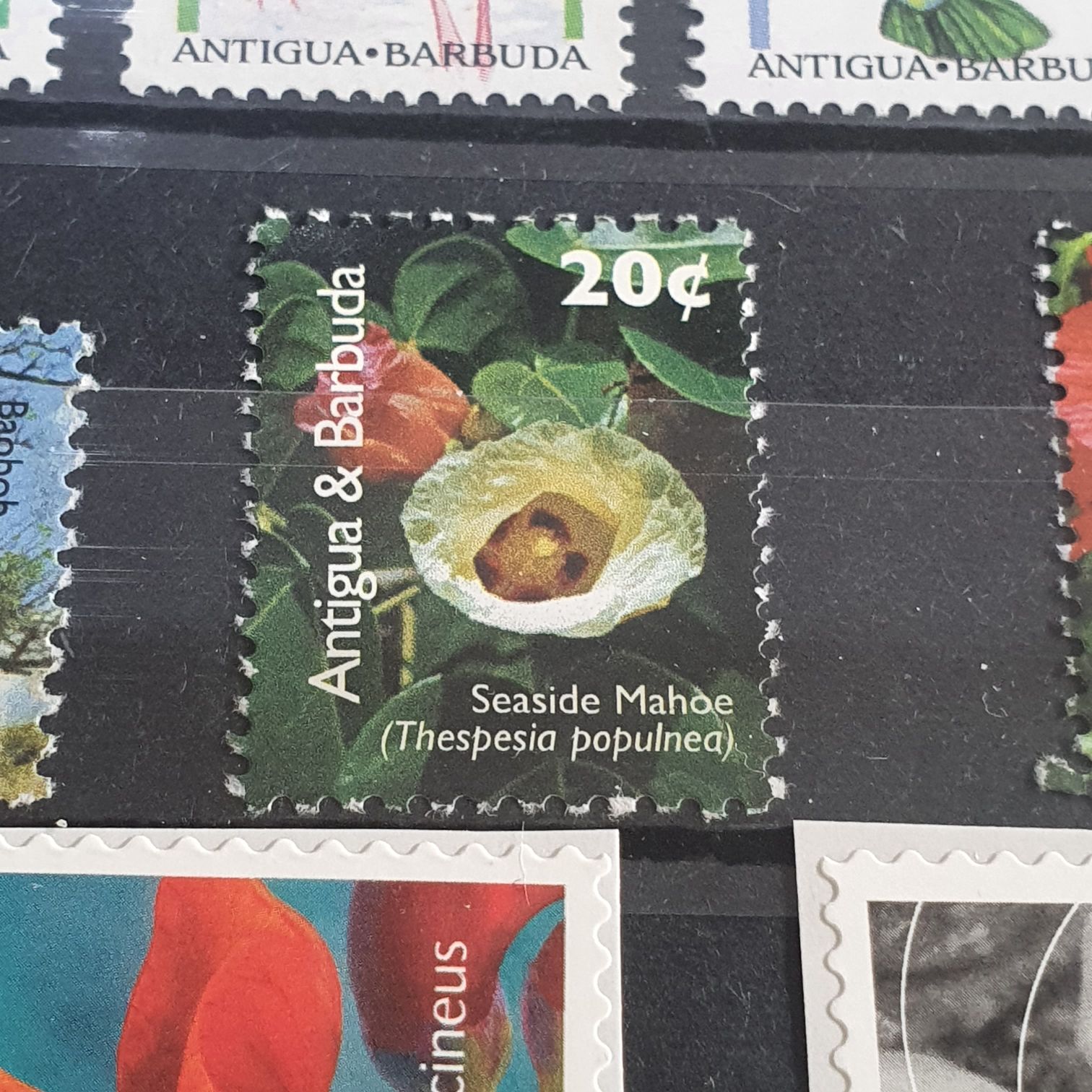 Seaside Mahoe  stamp collectible - Main Image 2