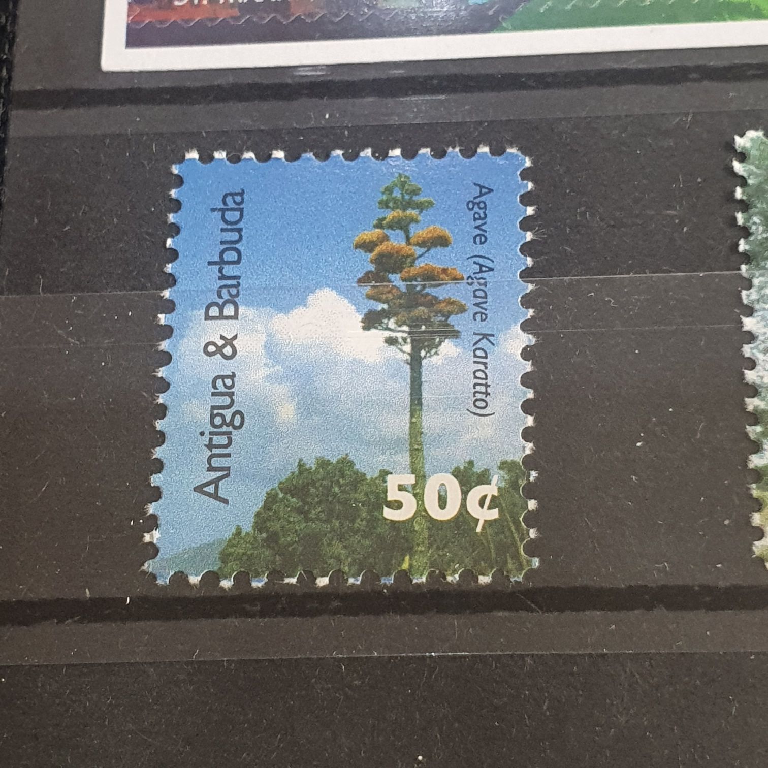 Agave  stamp collectible - Main Image 2