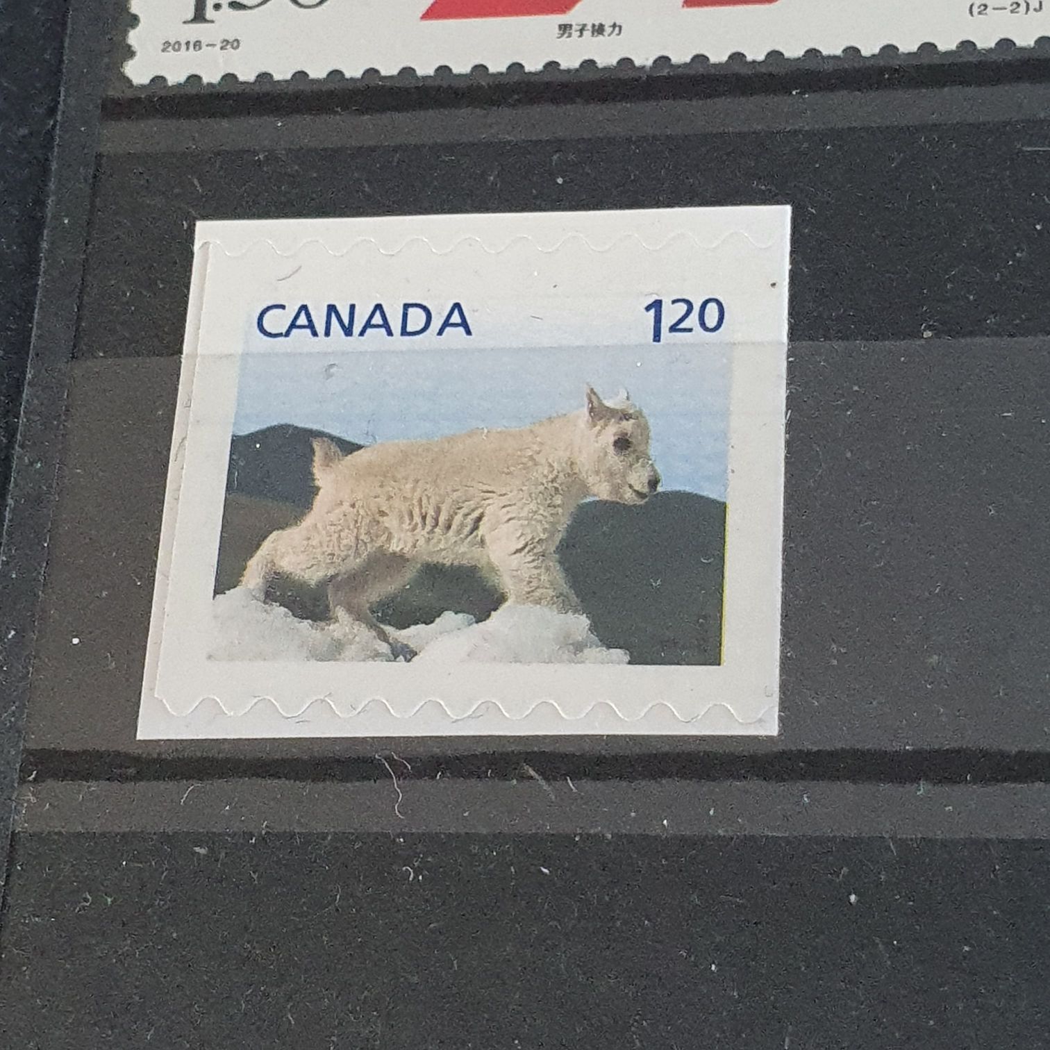 Space Firsts: Mercury Project