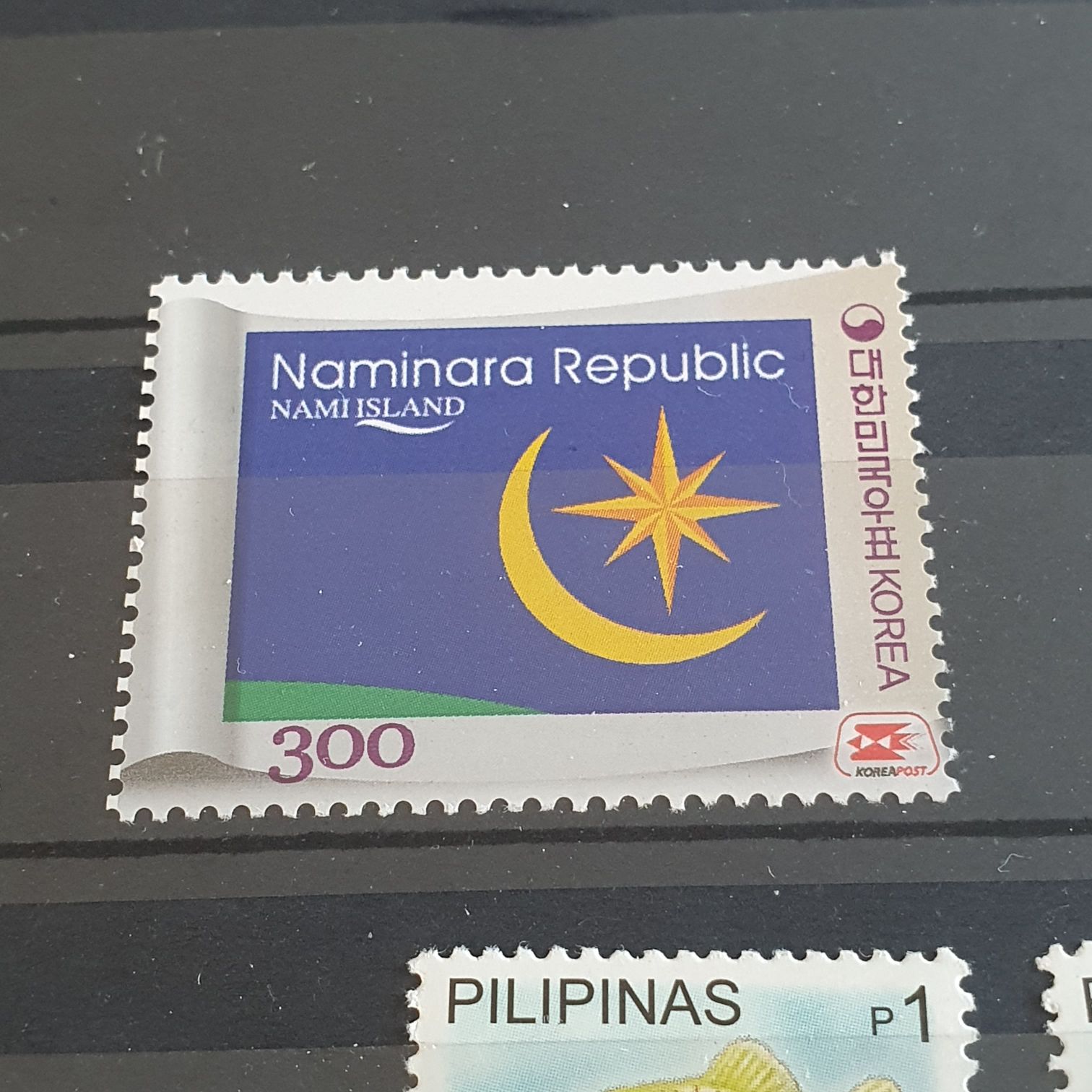 4460a. Animal Rescue: Adopt a Shelter Pet