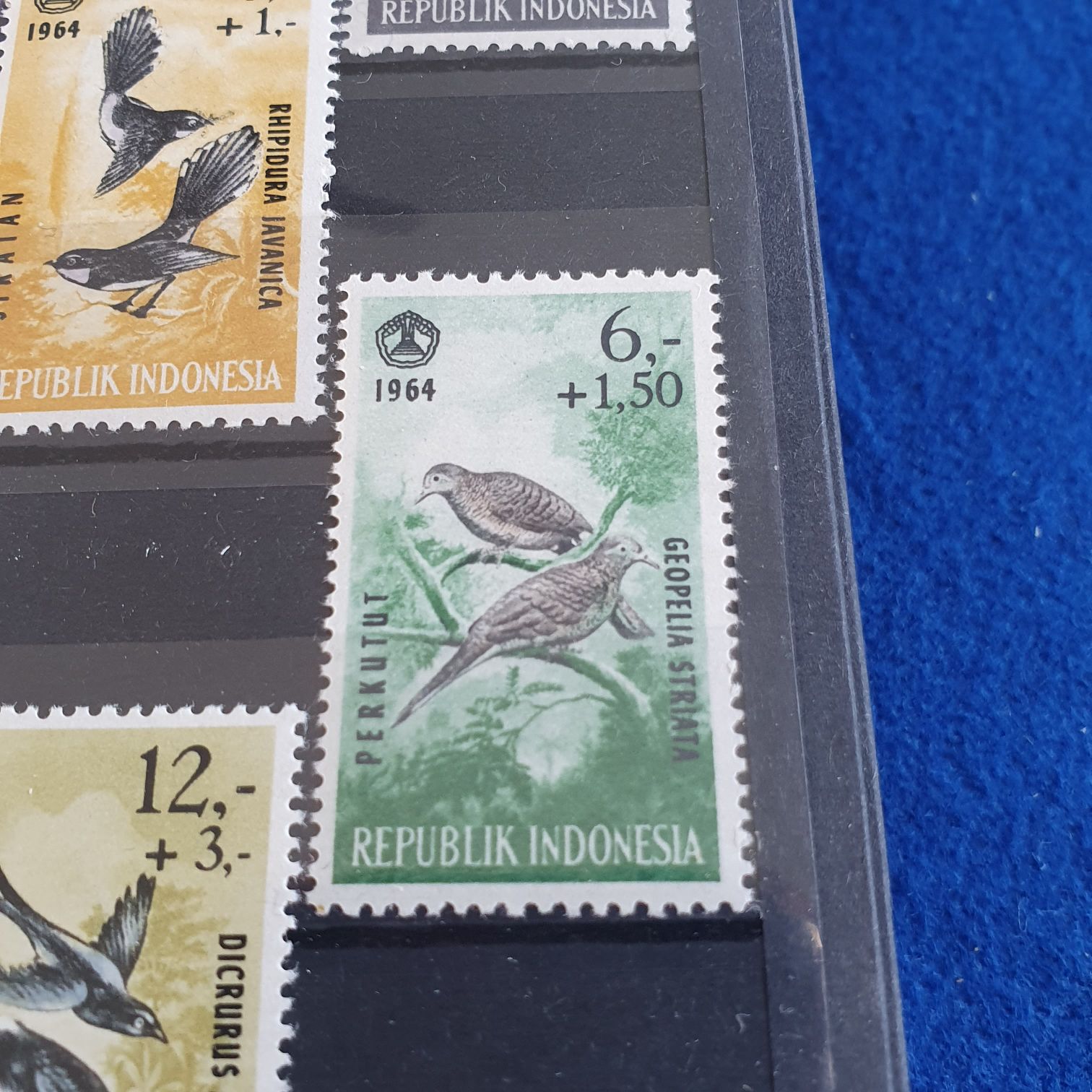 Museo De La Filatelia De Oaxaca