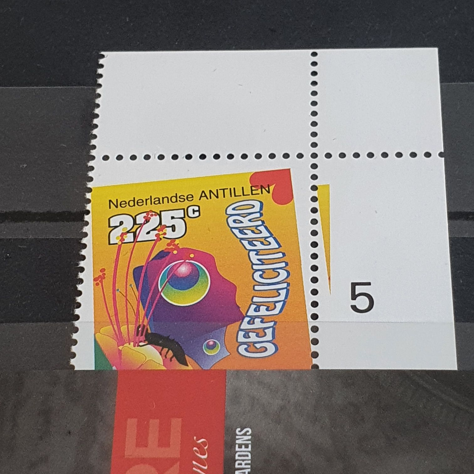 Unidos Para La Conservación Fundación Ara