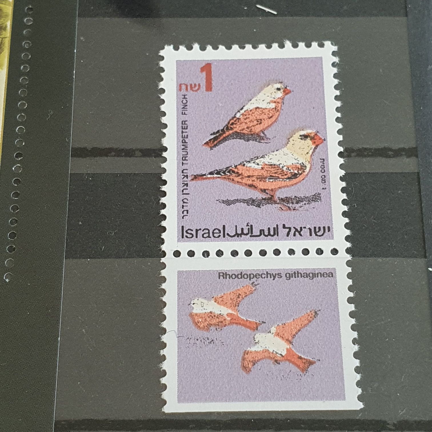 Israel  stamp collectible - Main Image 2