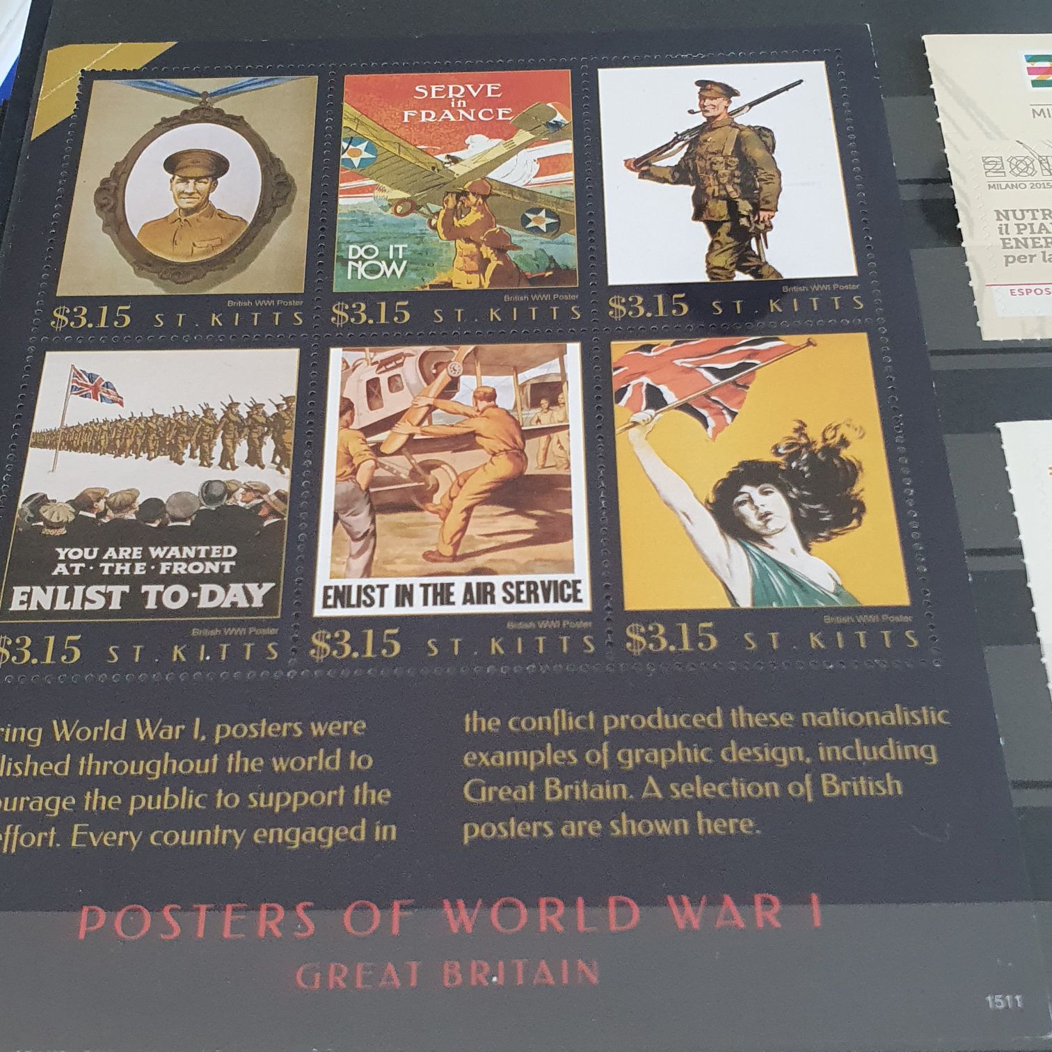 México Conserva Mamíferos Marinos