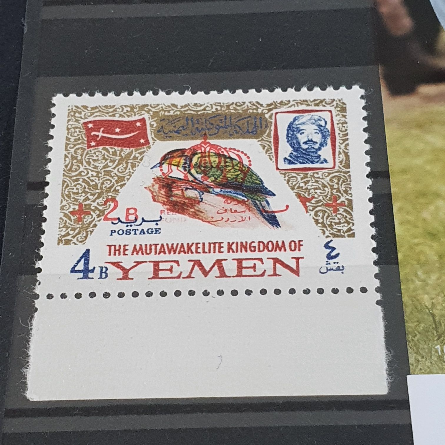 70 Años Ibero Americana