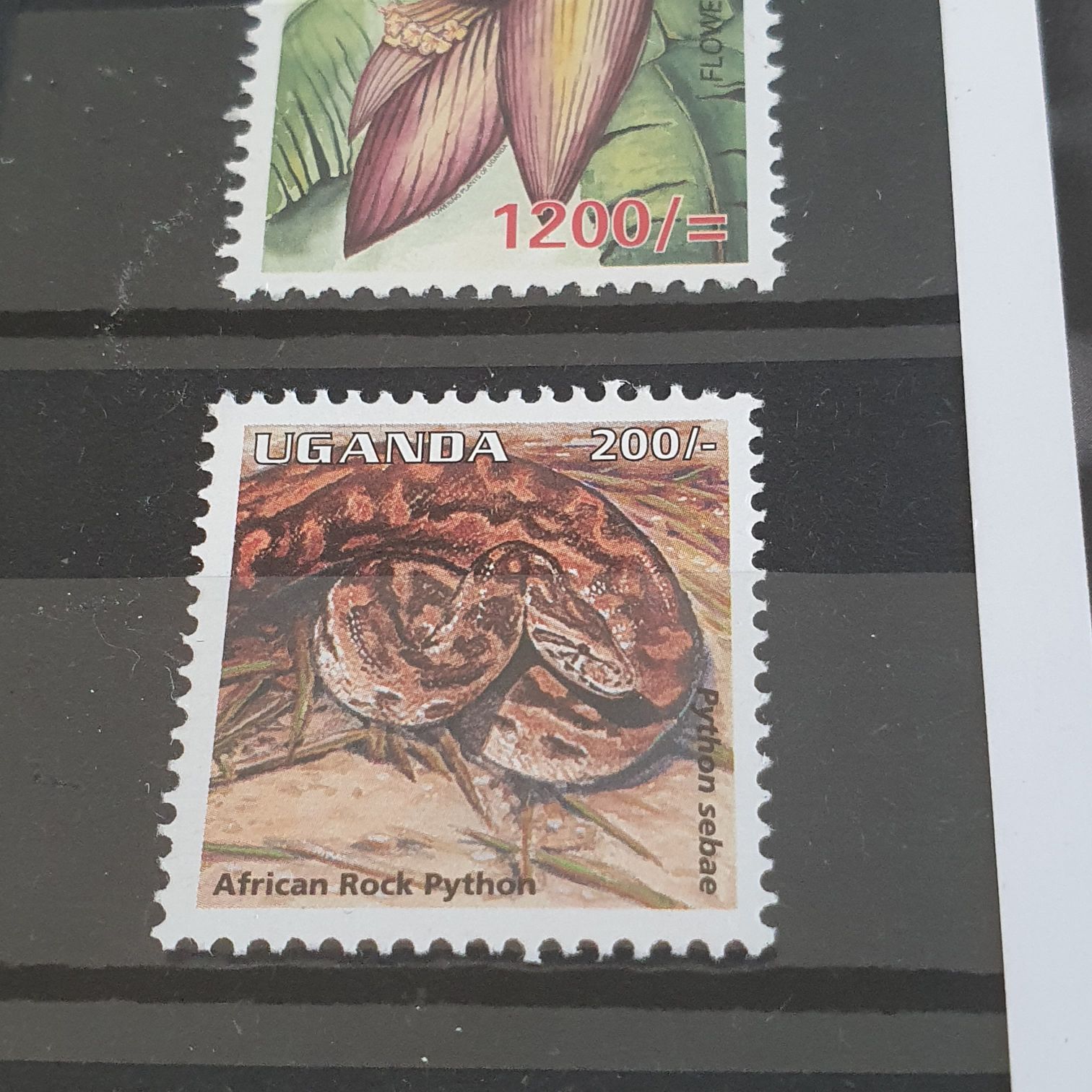 Salud Reproductiva De Los Y Las Adolescentes