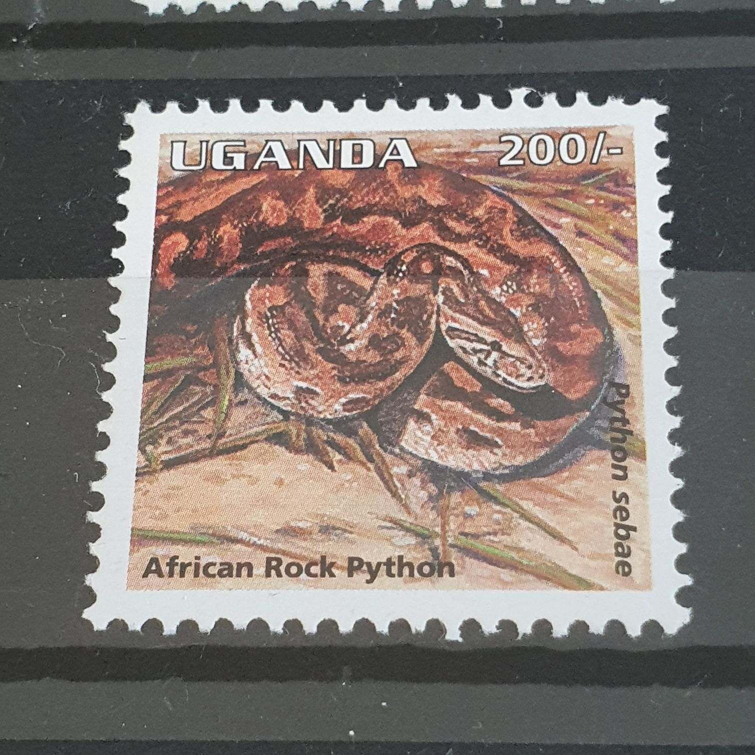 African Rock Python  stamp collectible - Main Image 2