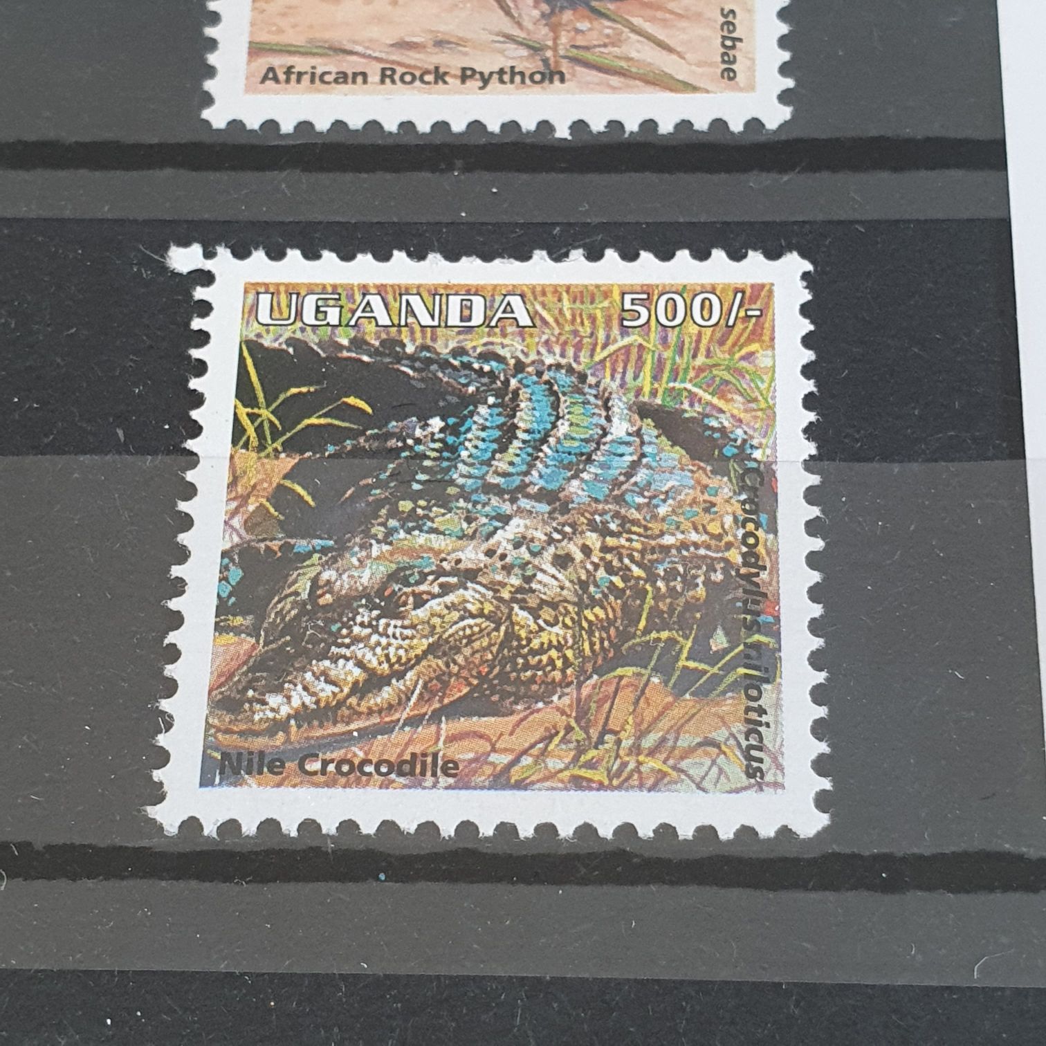 Crocodile  stamp collectible - Main Image 2