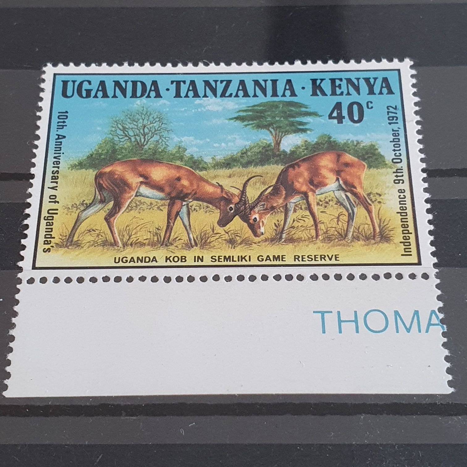 Centenario De La Modernización Del Puerto Artificial De Veracruz