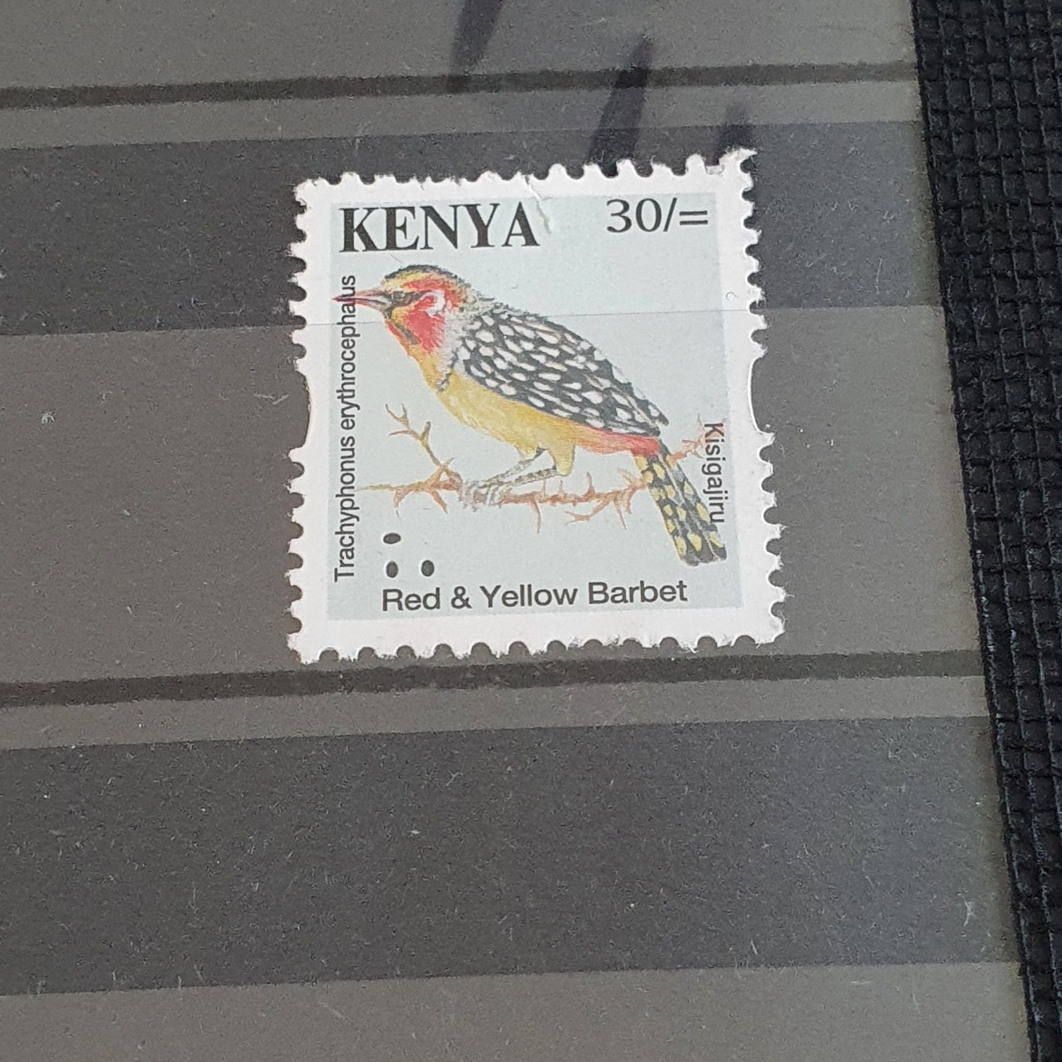 Red & Yellow Barbet  stamp collectible - Main Image 2