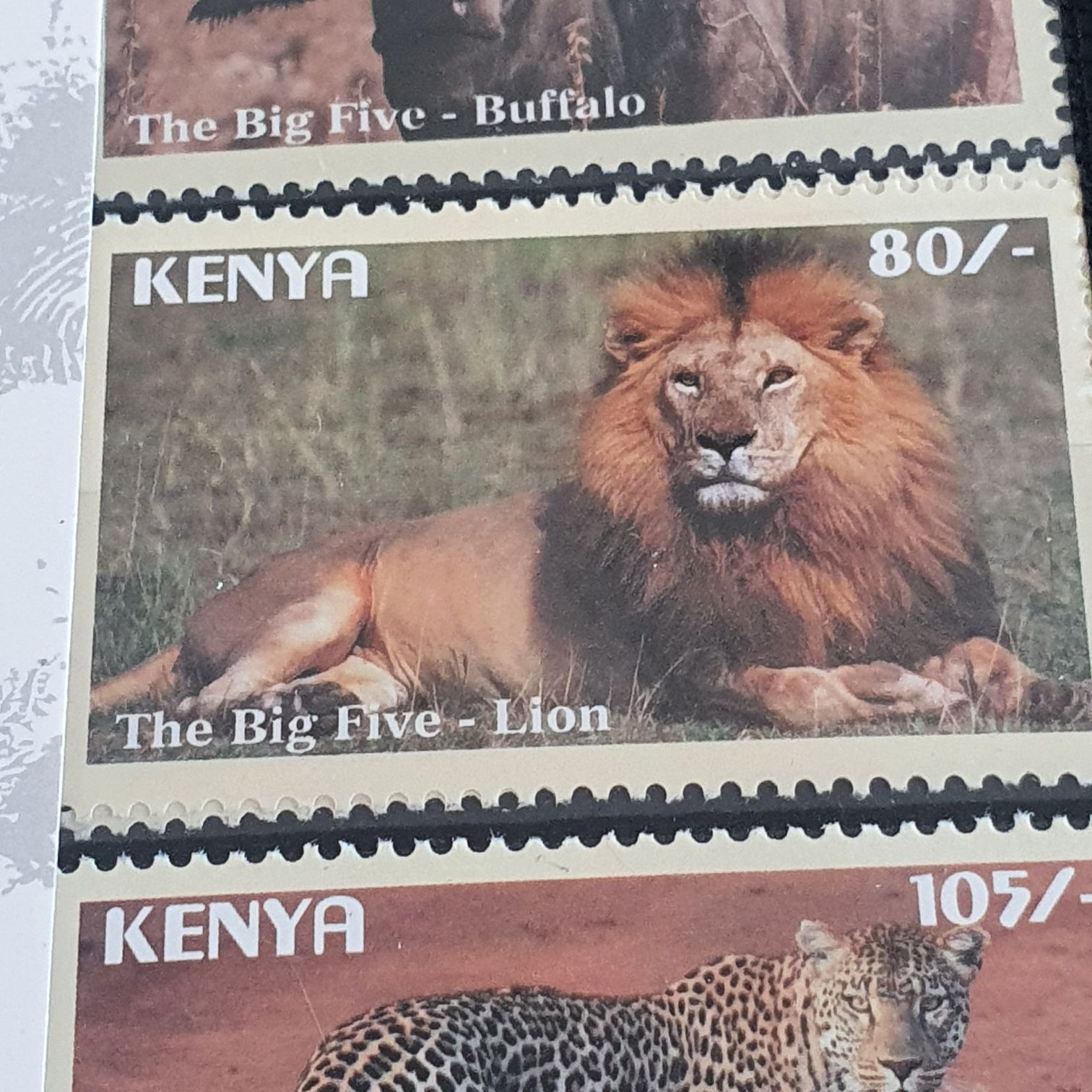 The Big Five Lion  stamp collectible - Main Image 2