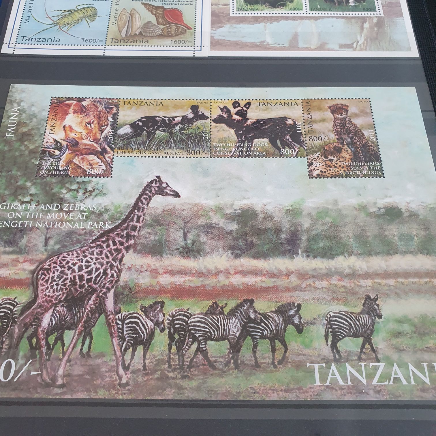 Supplying 77 Million Tonnes