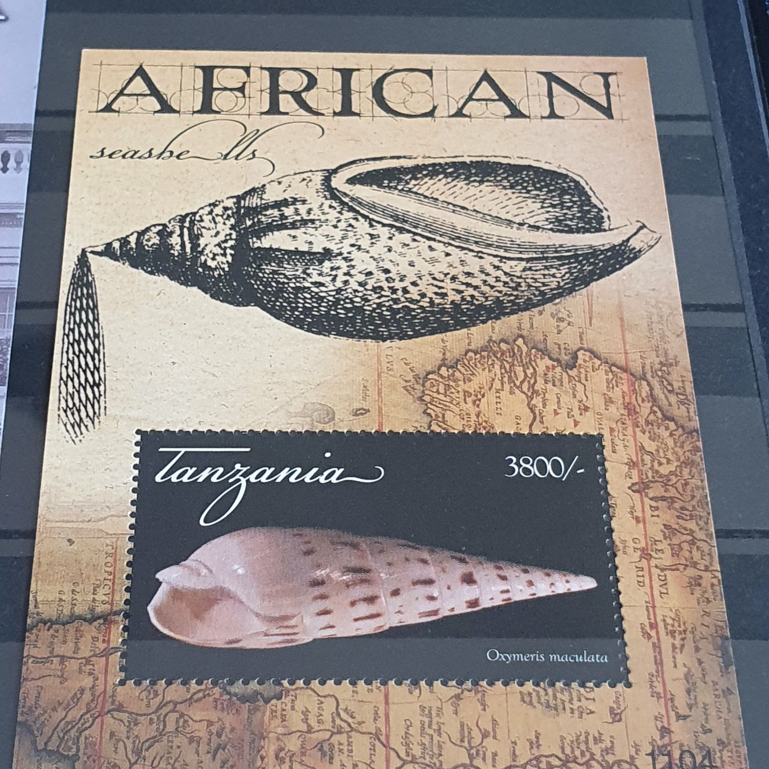 Torres Del Inalambrico