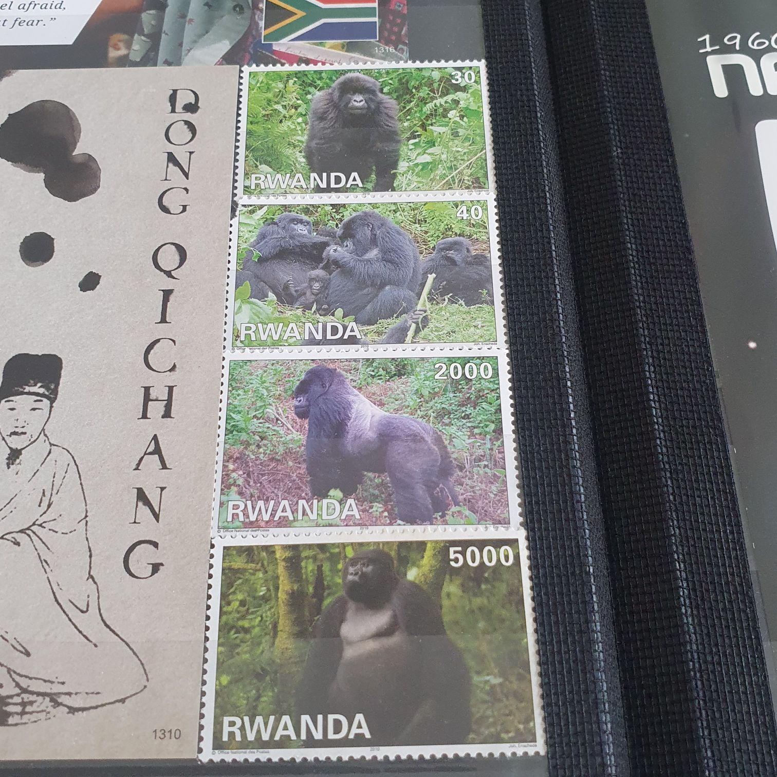 México Conserva Selvas Tropicales