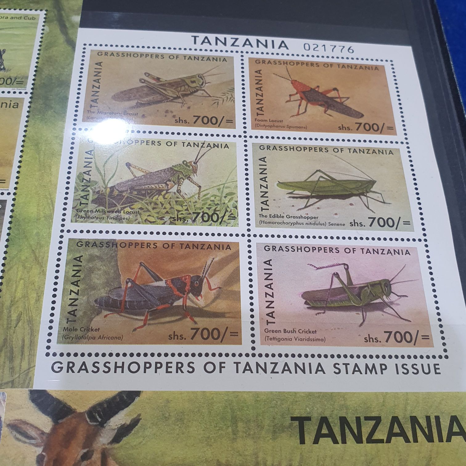 Grasshoppers Of Tanzania Stamp Issue  stamp collectible - Main Image 2