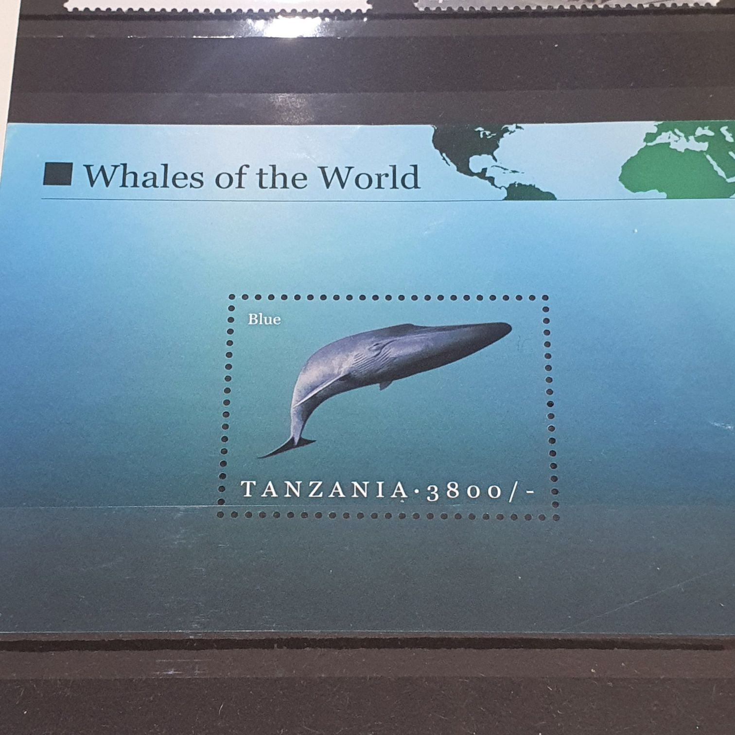 Whales Of The World  stamp collectible - Main Image 2
