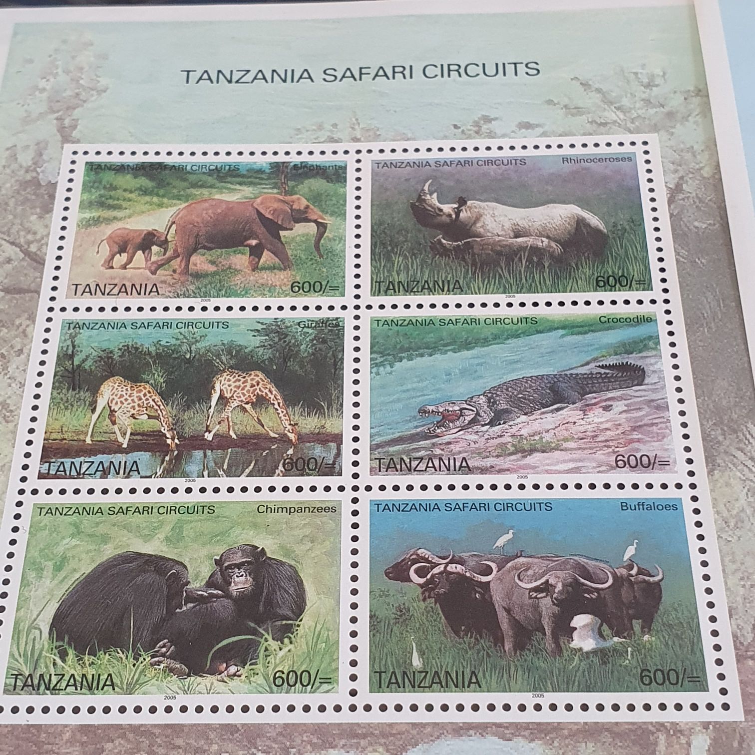 México Conserva Orquídeas