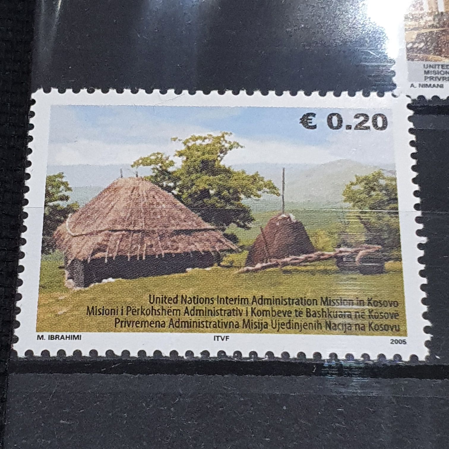 Yellow-green Elizabeth