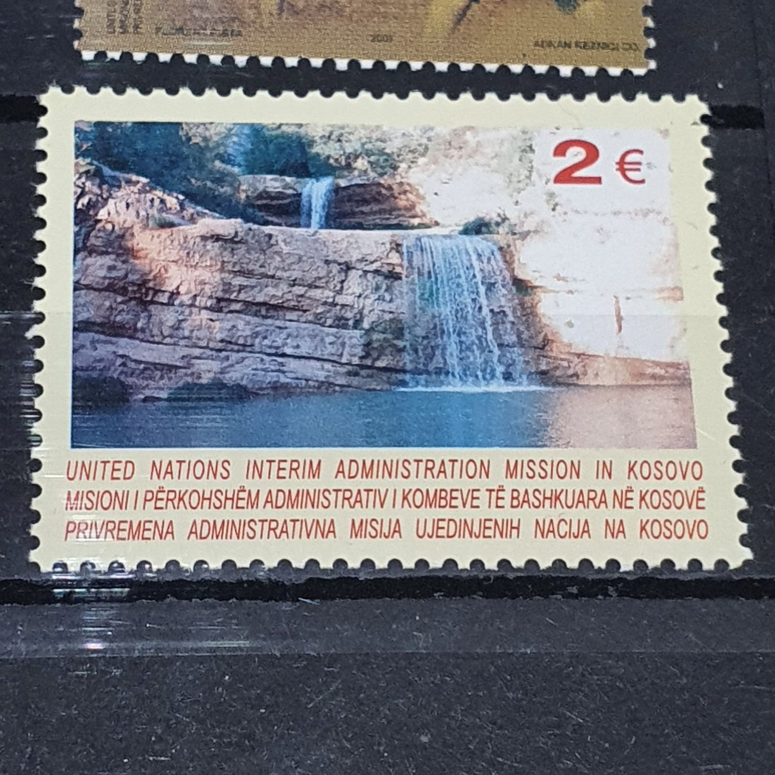 México Conserva Aves Costeras