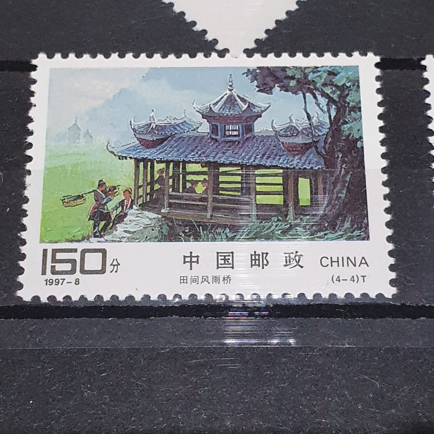 México Conserva Selvas Tropicales