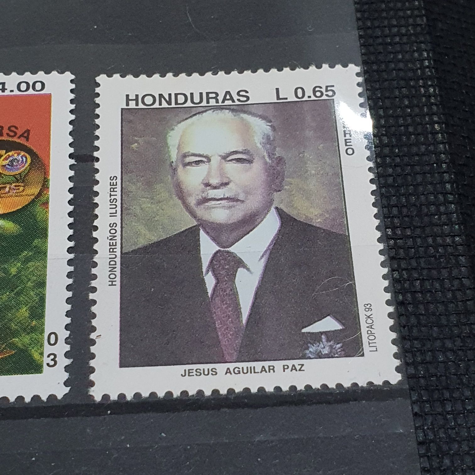 Brown Yellow Banksia