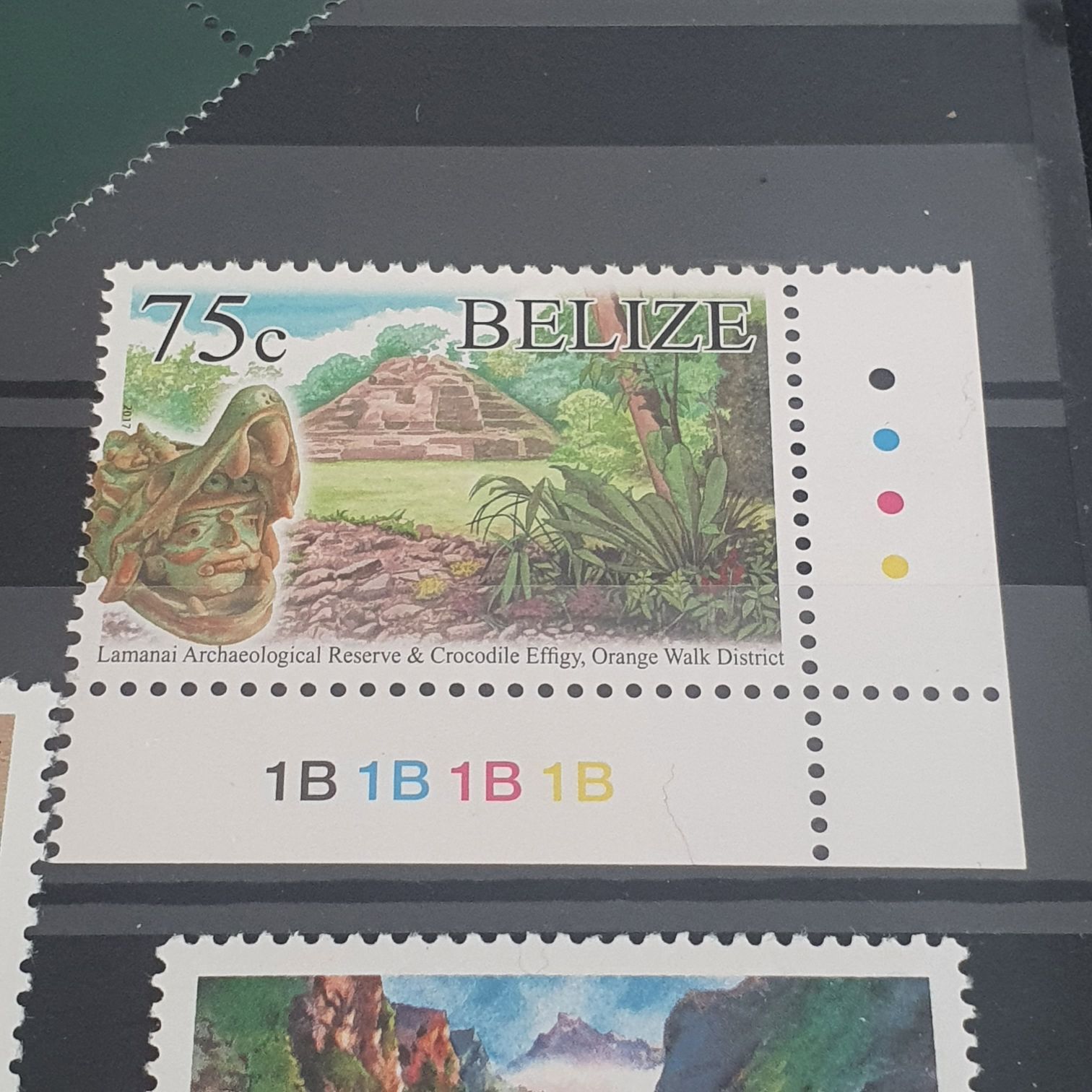 Concurrencia A La Exposición Internacional De New York