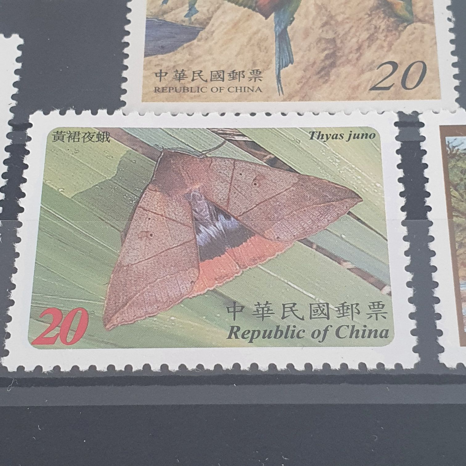 Supplying 77 Million Tonnes