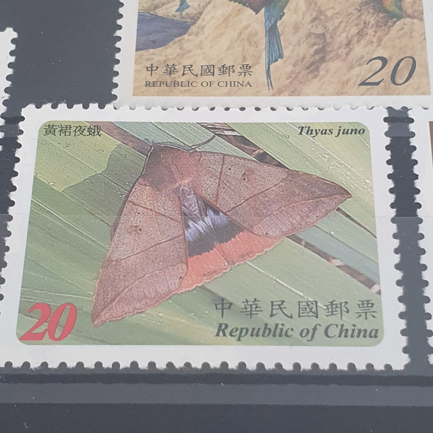 Thyas Juno  stamp collectible - Main Image 2