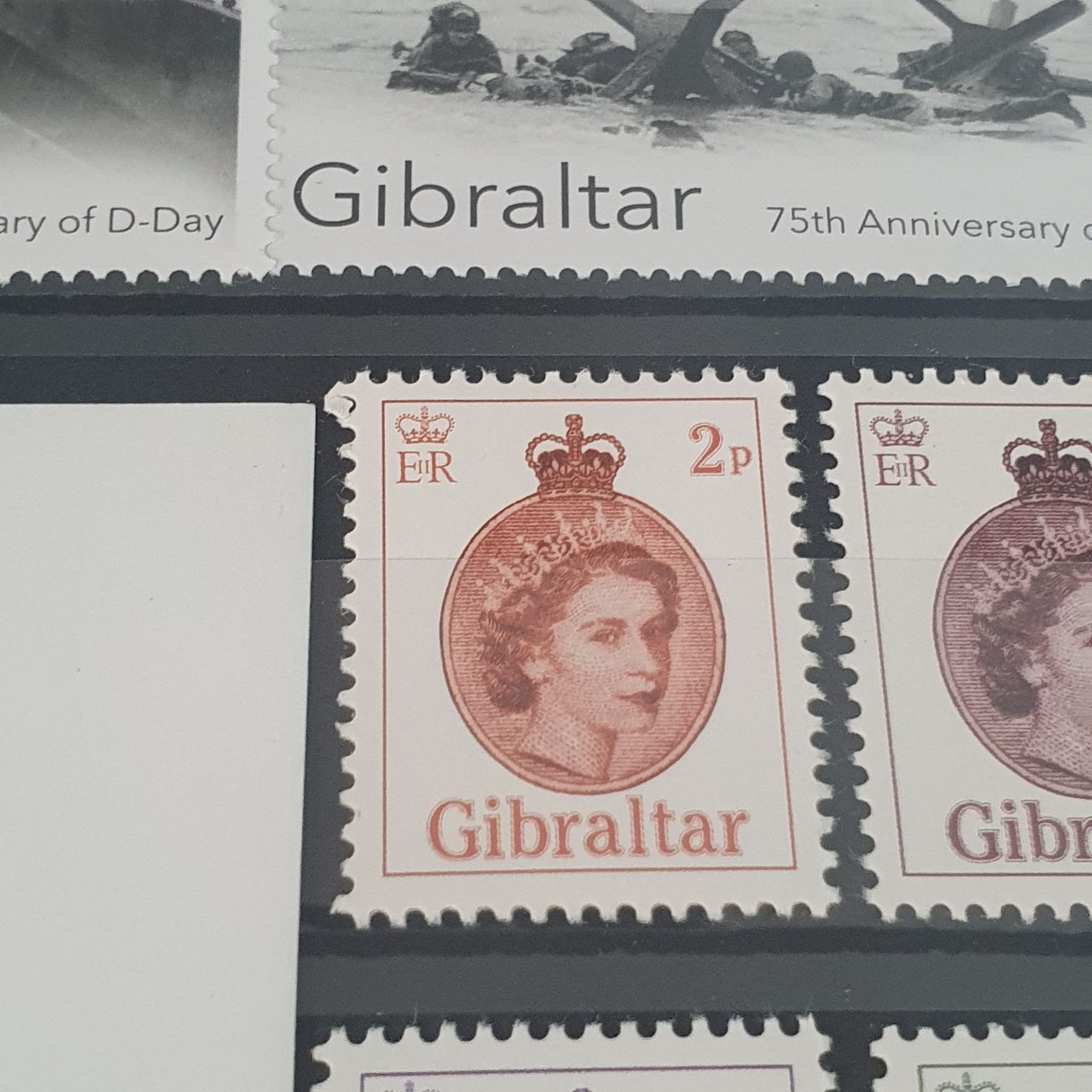 Día Internacional De Los Abuelos