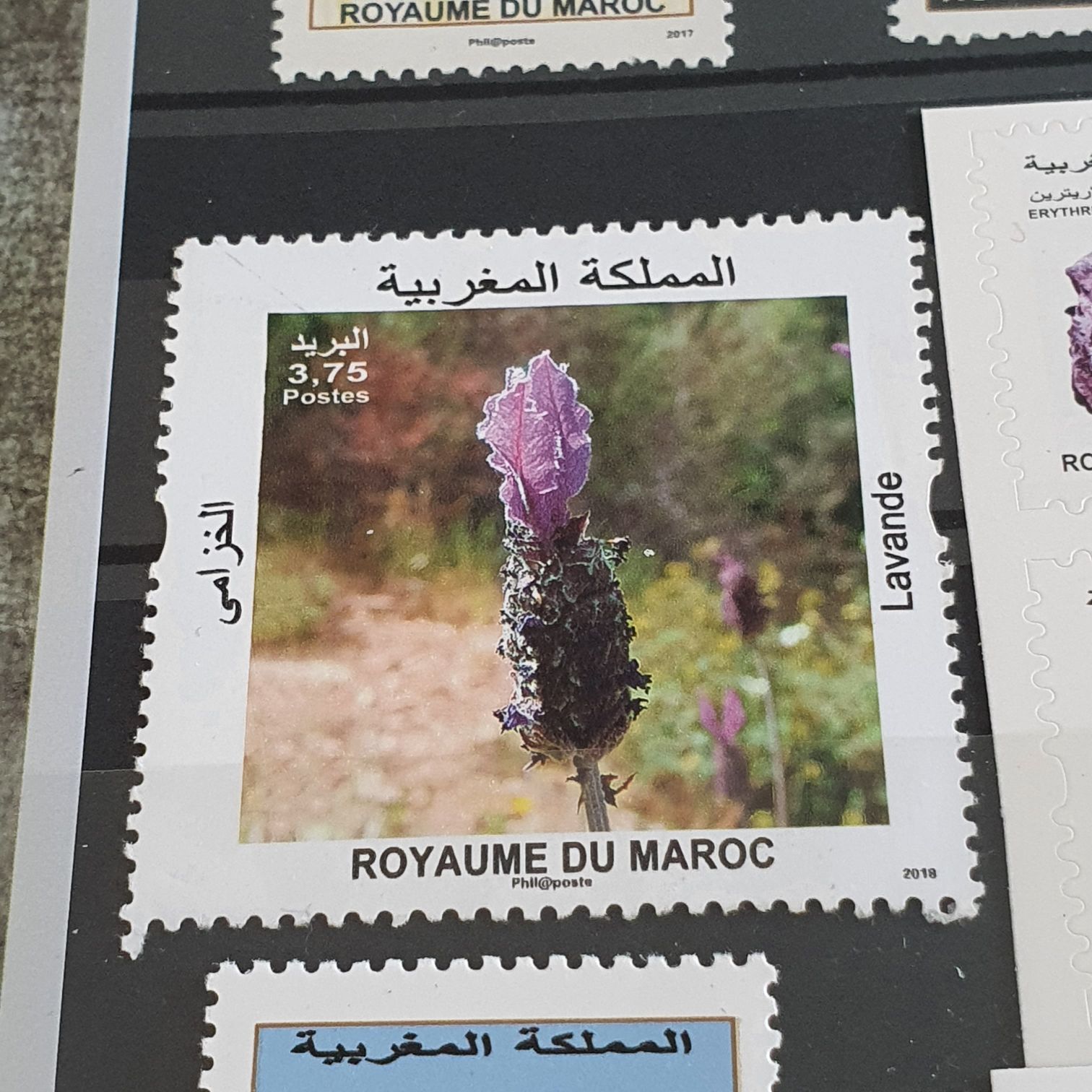 Lavande  stamp collectible - Main Image 2