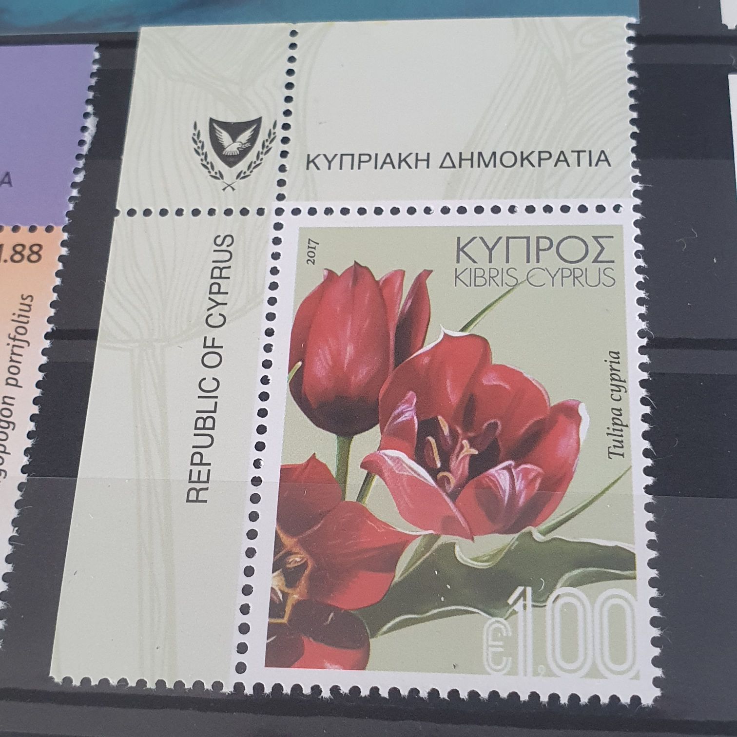 Tulipa  stamp collectible - Main Image 2