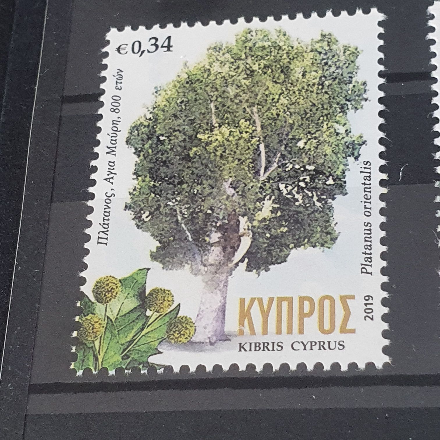 Arte Sacro Virreinal Monjas Coronadas