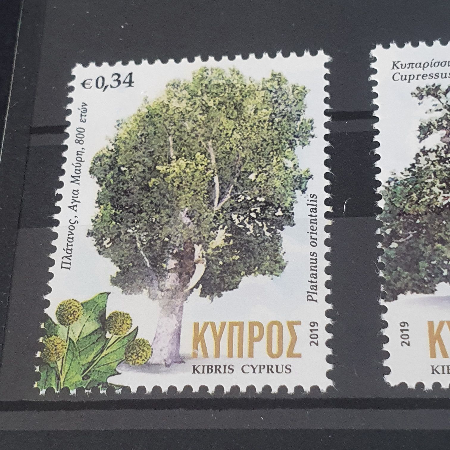 Ayia Maupn  stamp collectible - Main Image 2