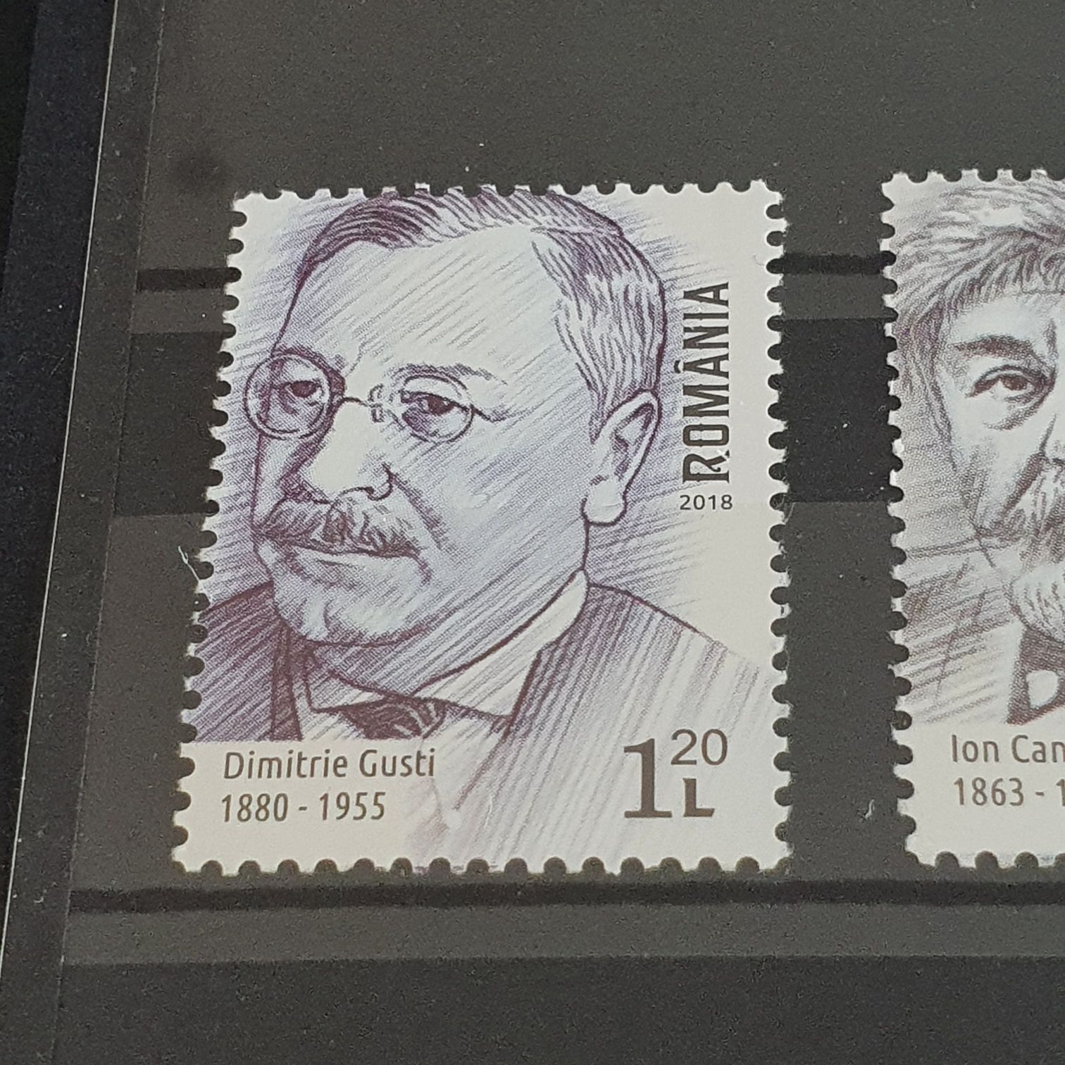 Dimitrie Gusti  stamp collectible - Main Image 2