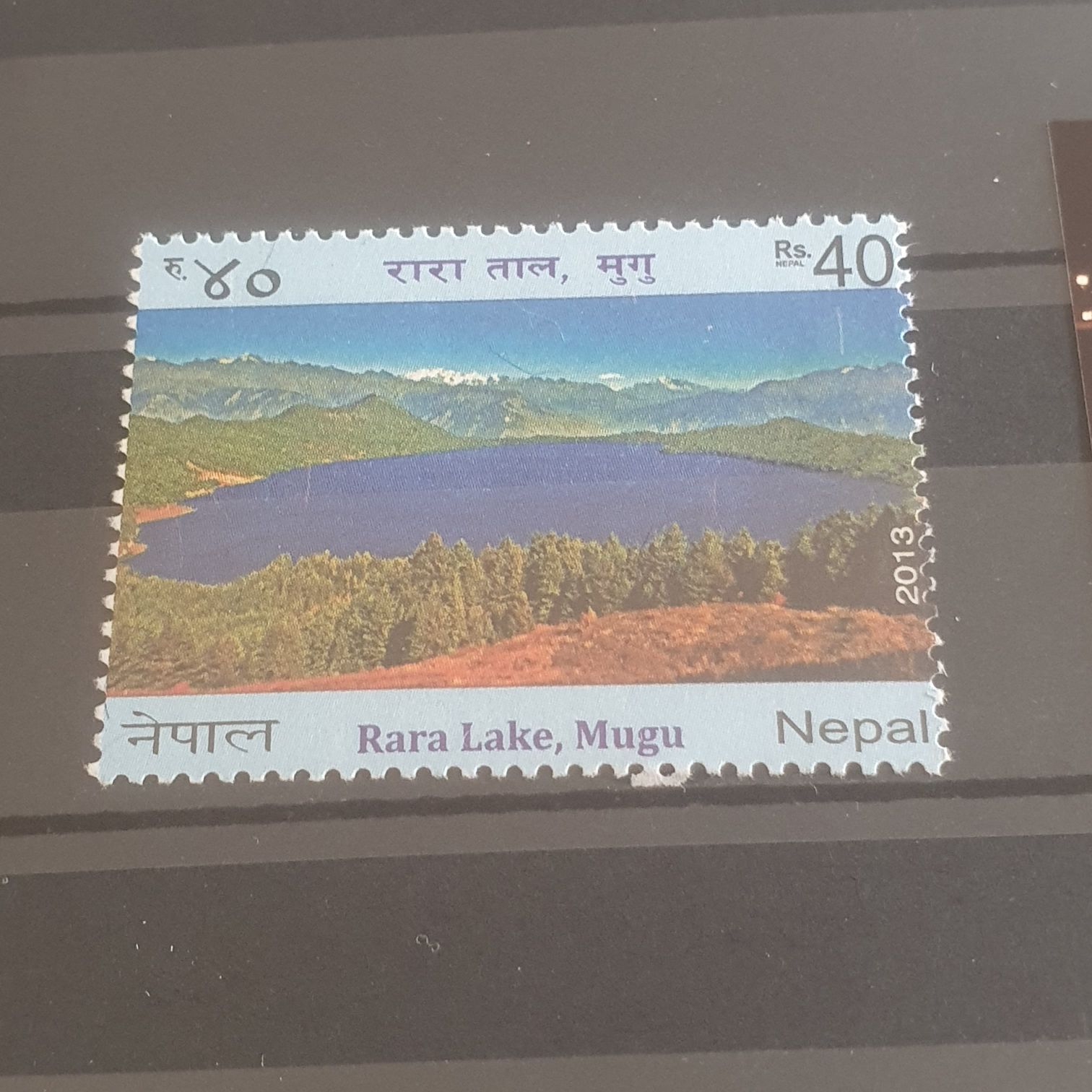 Elizabeth Craft Designs Elizabeth Craft Die Plnnr Es 4 Us:one Size Metal