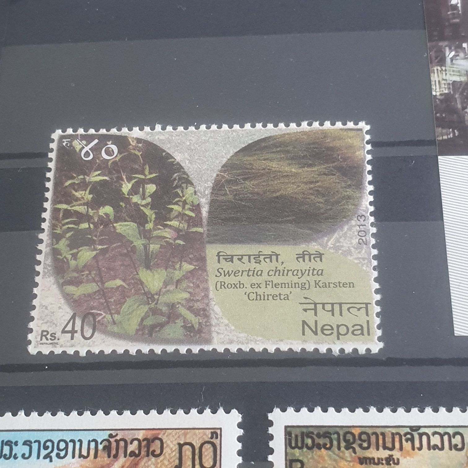 Chocolateria San Gined