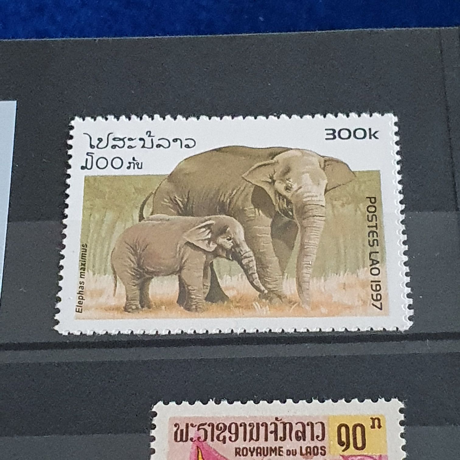 Elephas  stamp collectible - Main Image 2