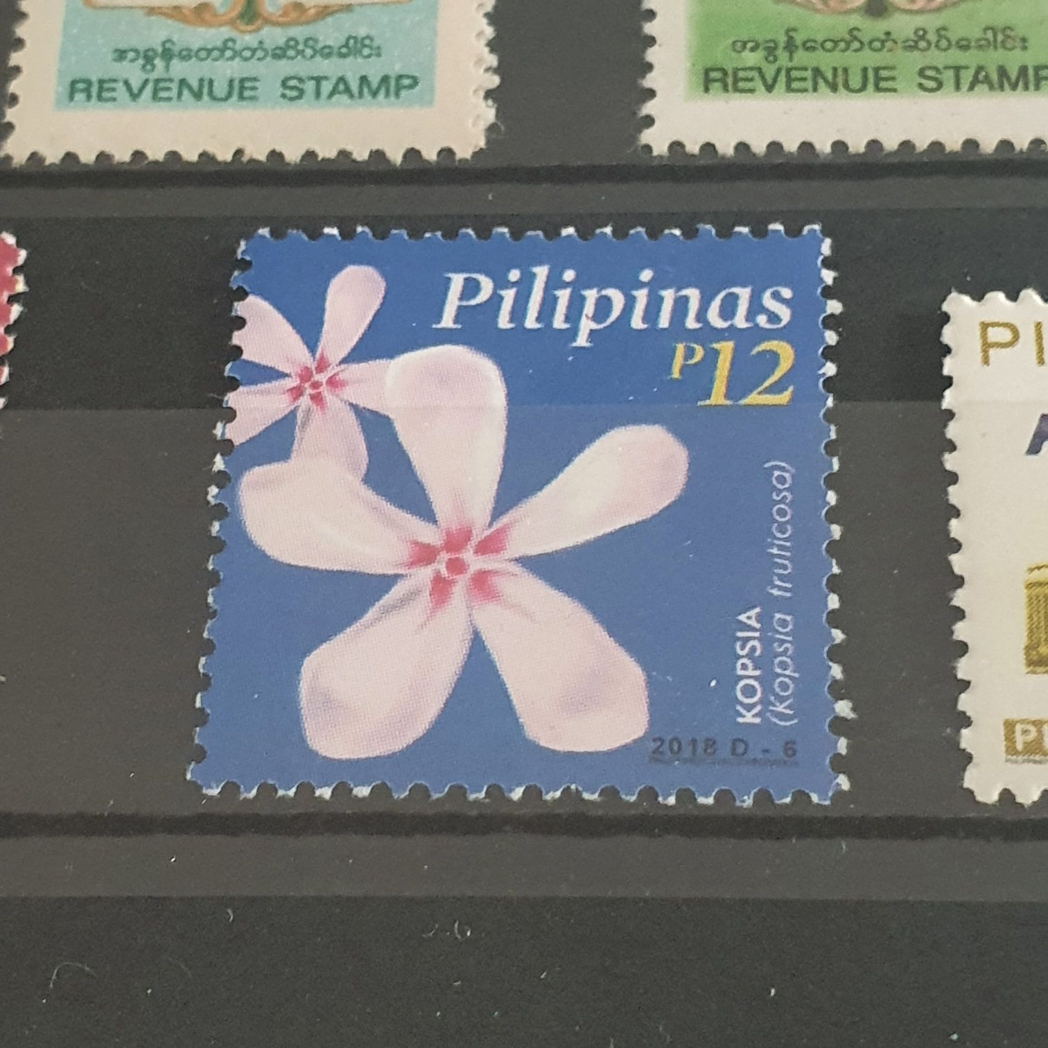 Kopsia  stamp collectible - Main Image 2