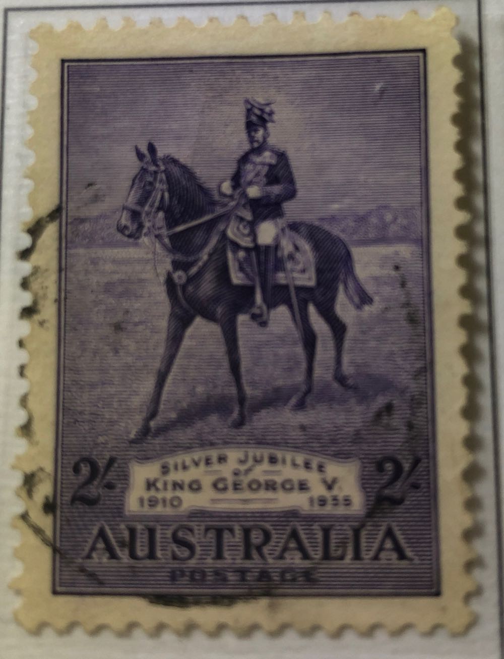 The Big Five Buffalo