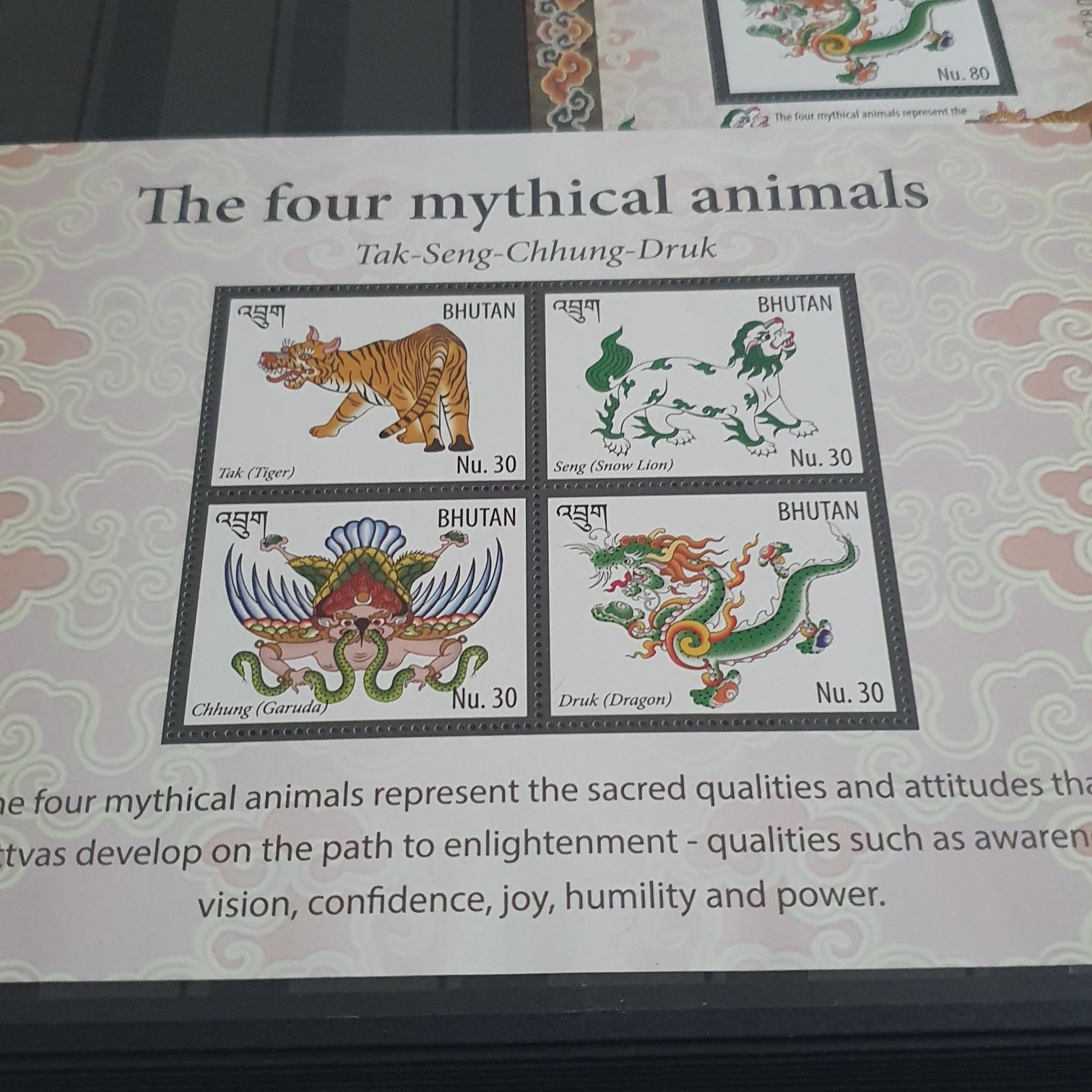 Cetaceos De Chile En Cites