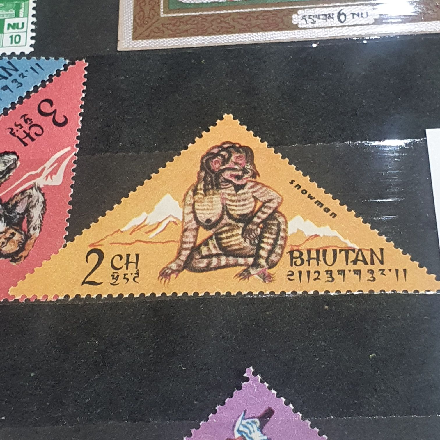 American Wildlife Barn Swallow