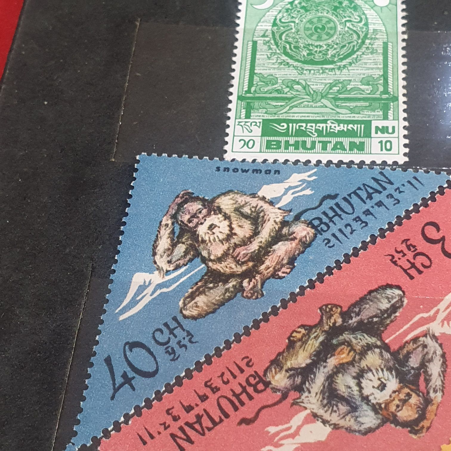 Waterfowl Conservation