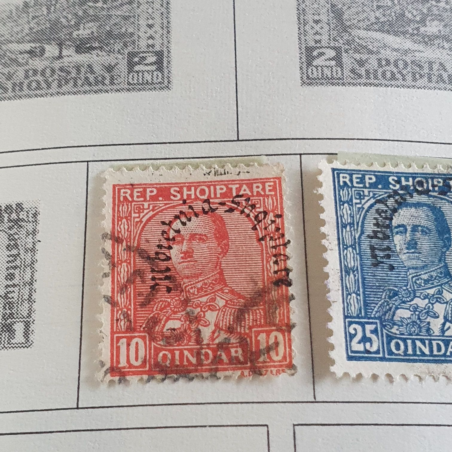 México Conserva Aves Costeras