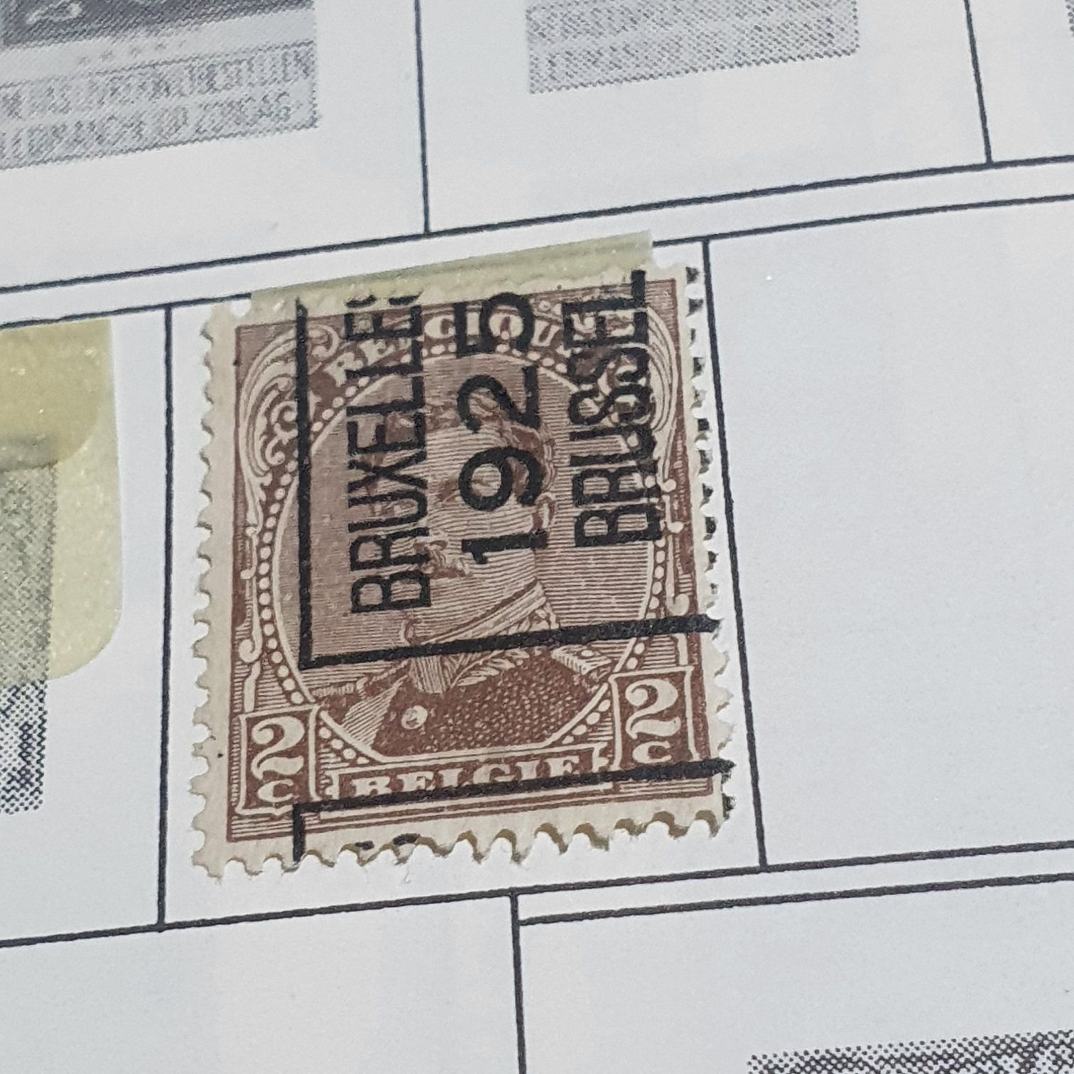 Año Polar Internacional