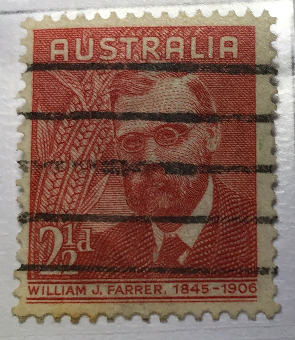 México Conserva Reptiles