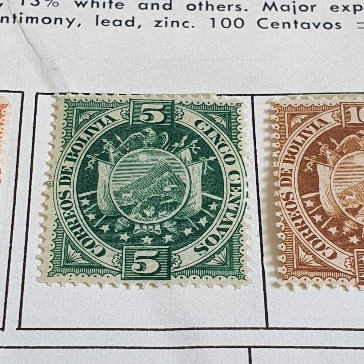 Cetaceos De Chile En Cites